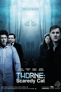 Торн: Пуганая ворона (2010)