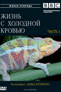 BBC: Жизнь с холодной кровью (2008)